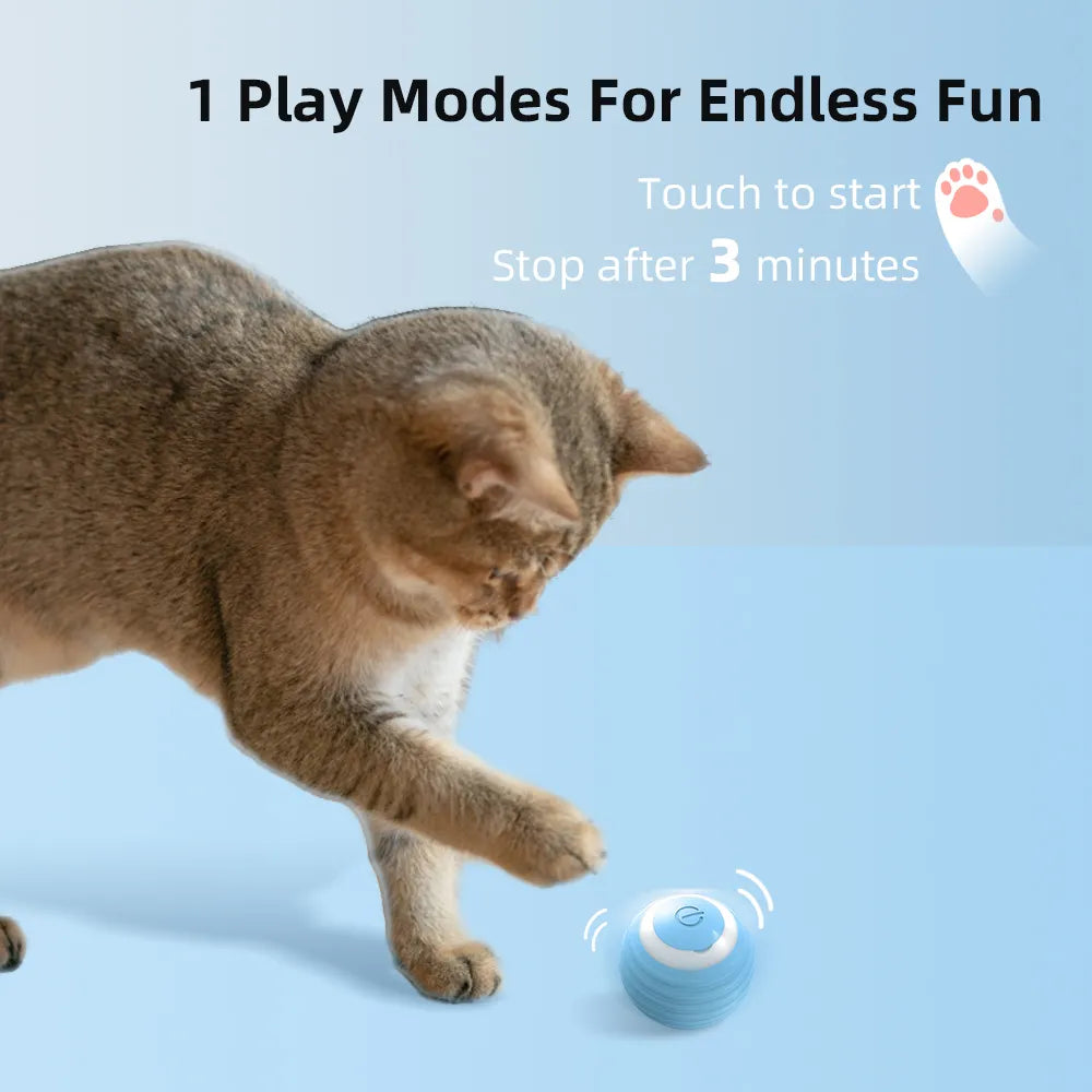 Collection of Cat Interactive Ball Smart in a gallery layout