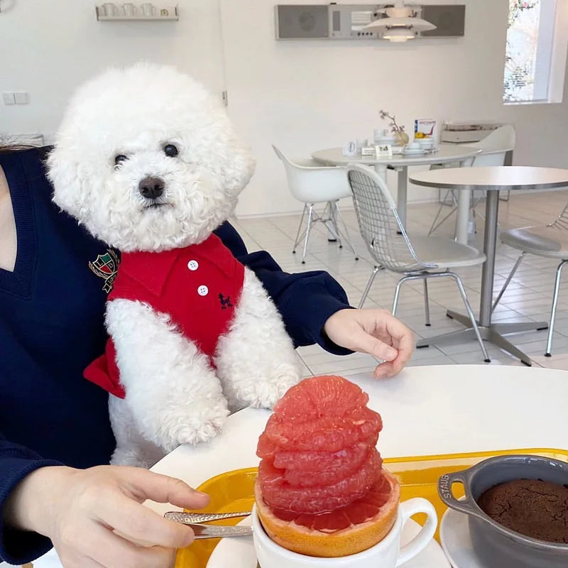 Collection of Summer Polo Shirt for Dogs in a gallery layout