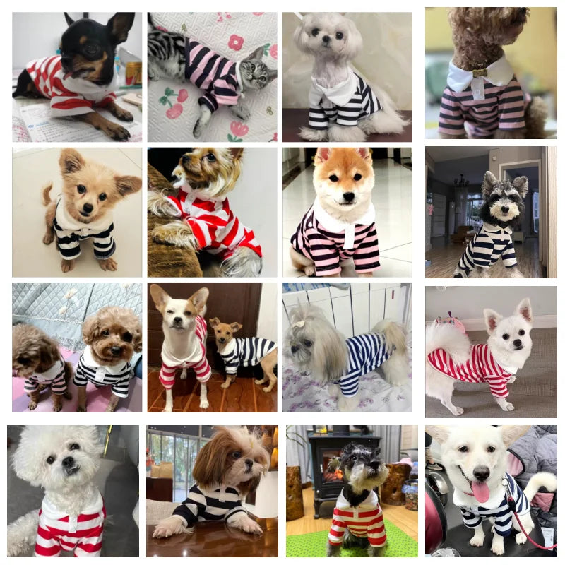 Collection of Summer Polo Shirt for Dogs in a gallery layout