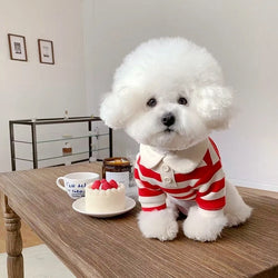 Collection of Summer Polo Shirt for Dogs in a gallery layout