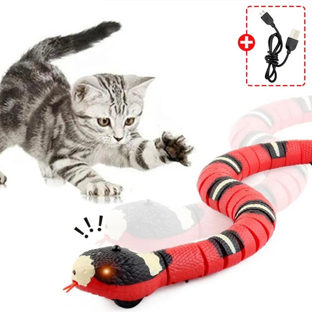 Cat Toys