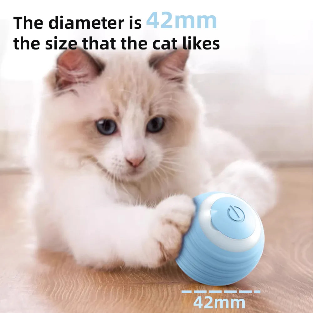 Cat Interactive Ball Smart