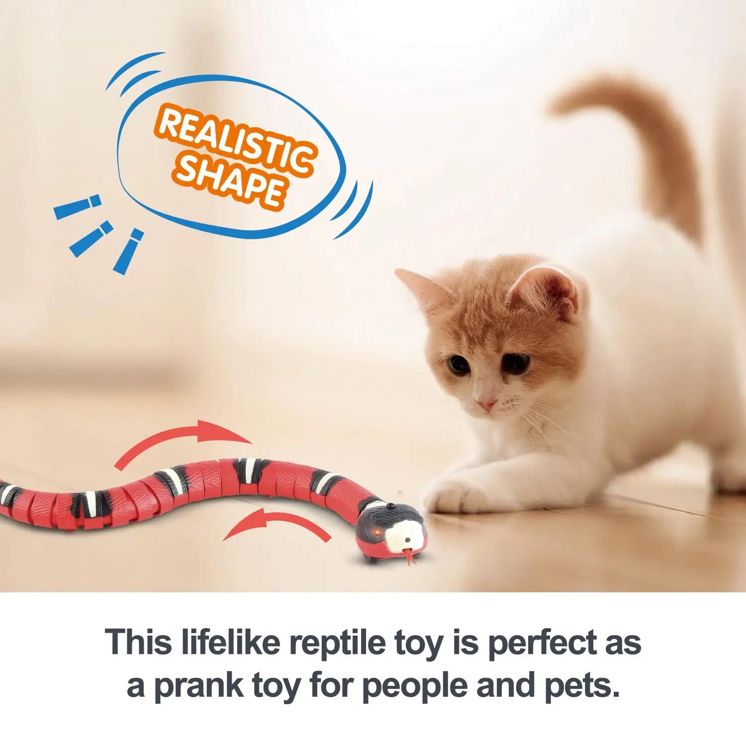 Cat Toys