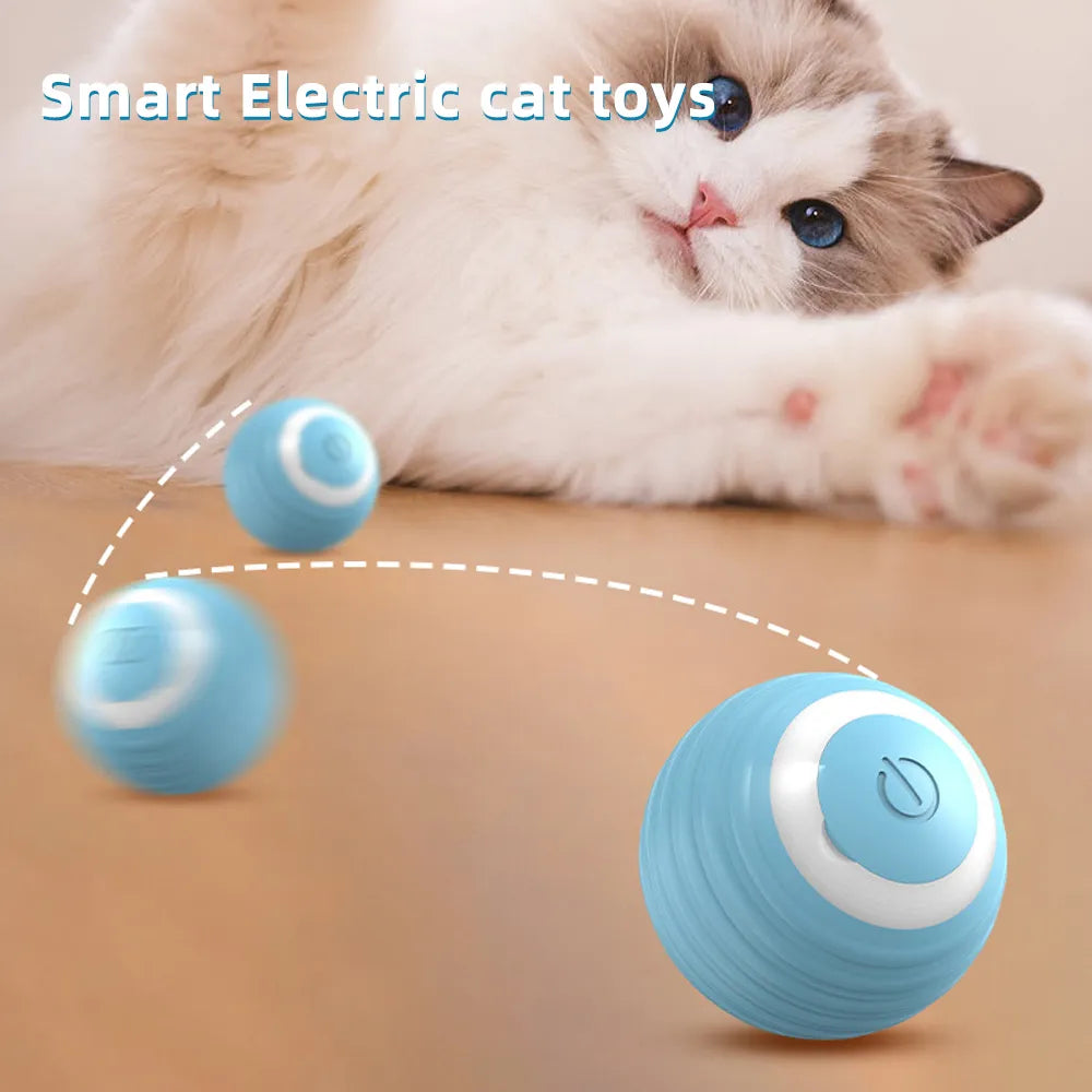 Cat Interactive Ball Smart