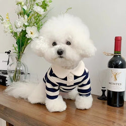Collection of Summer Polo Shirt for Dogs in a gallery layout