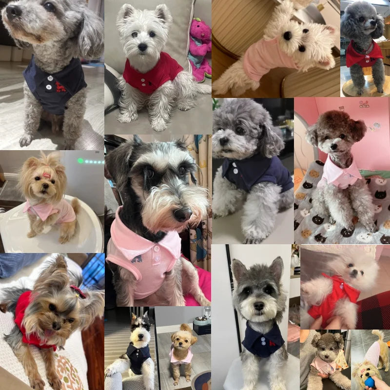 Collection of Summer Polo Shirt for Dogs in a gallery layout