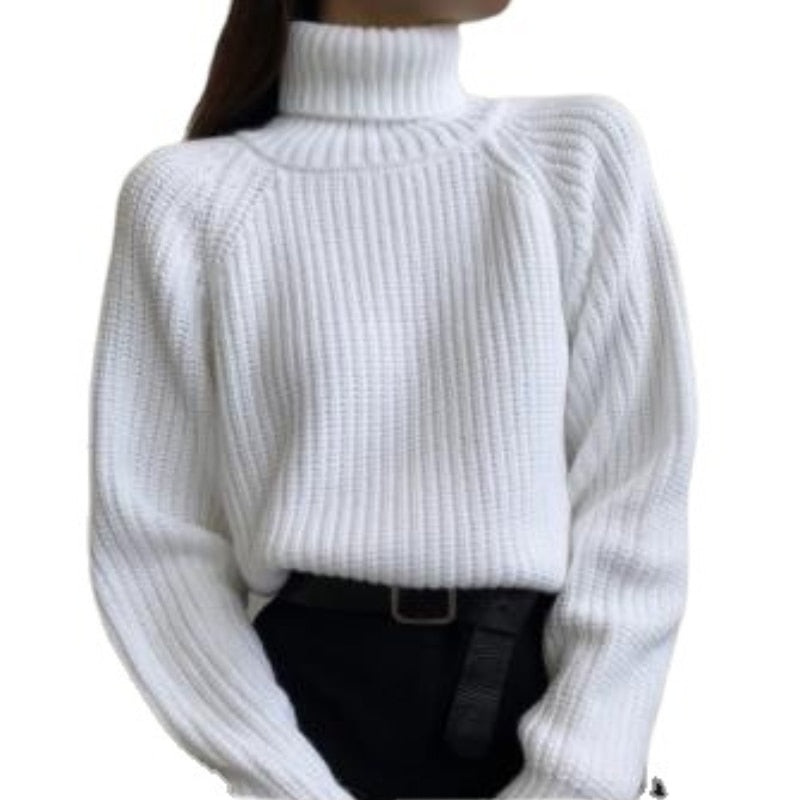 New Autumn and Winter Sweater
