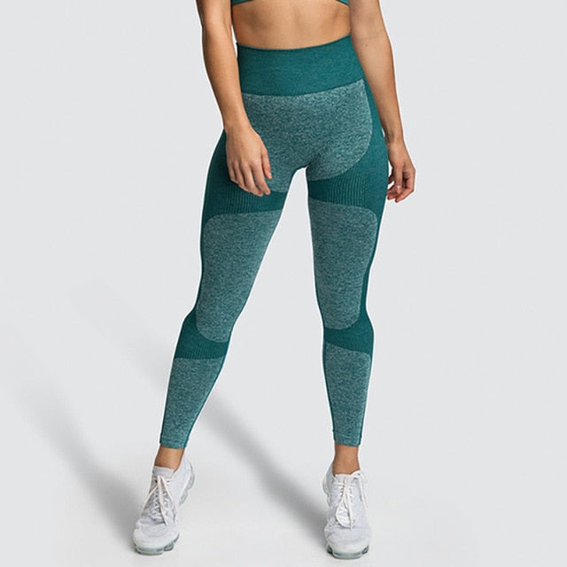 Collection of Women High Elastic Fitness Leggings in a gallery layout