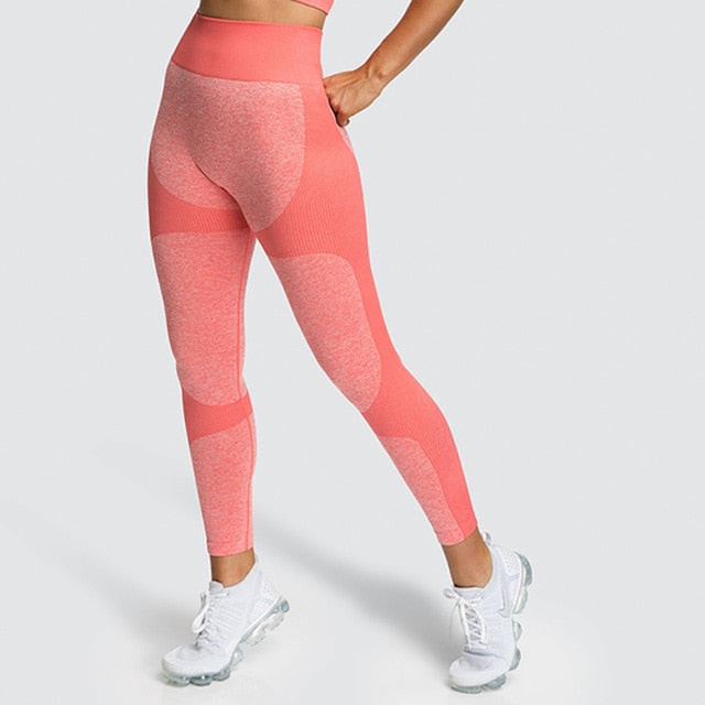 Collection of Women High Elastic Fitness Leggings in a gallery layout