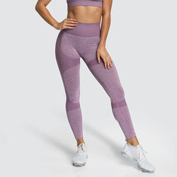 Collection of Women High Elastic Fitness Leggings in a gallery layout